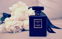 Chanel Coco Noir 50ml